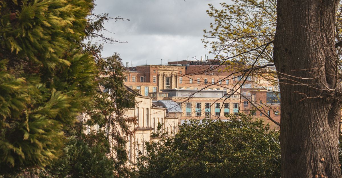 University buildings glimpsed through trees on a hillside